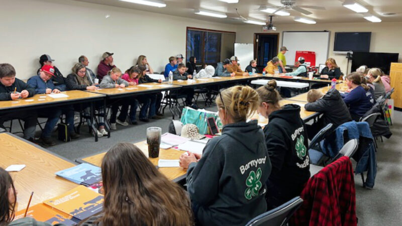 Barnyard Buddies members give presentations | News, Sports, Jobs - Vimarsana News